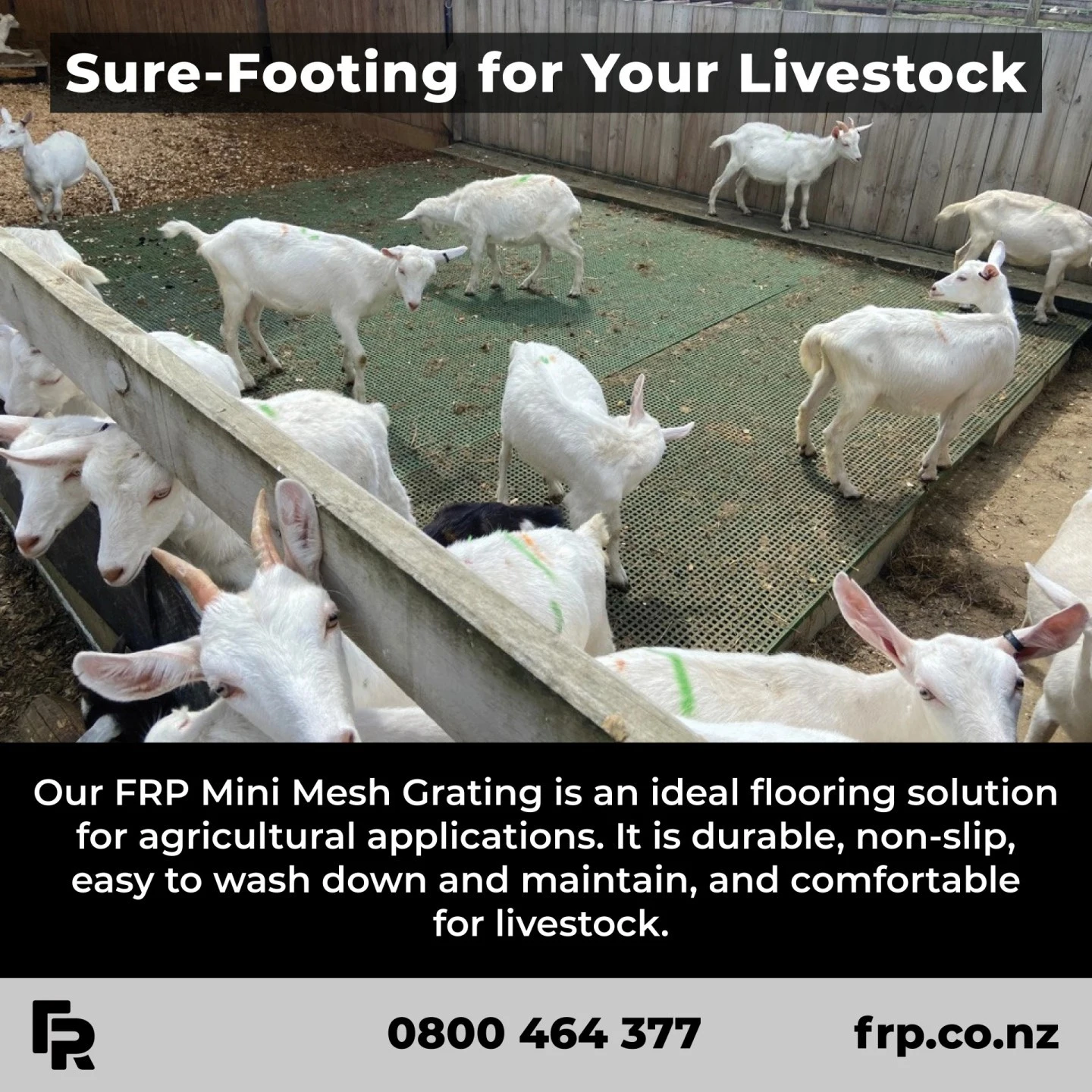 Enquire today!

#frp #frpproducts #agriculture #farming #nzfarms #livestock #goats #nzfarming