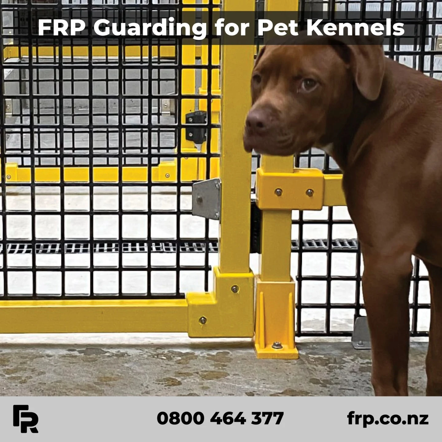 Our FRP Guarding is more durable and easier to clean down than timber.

#frp #frpproducts #guarding #kennels #petshelter #commercial #nzarchitects