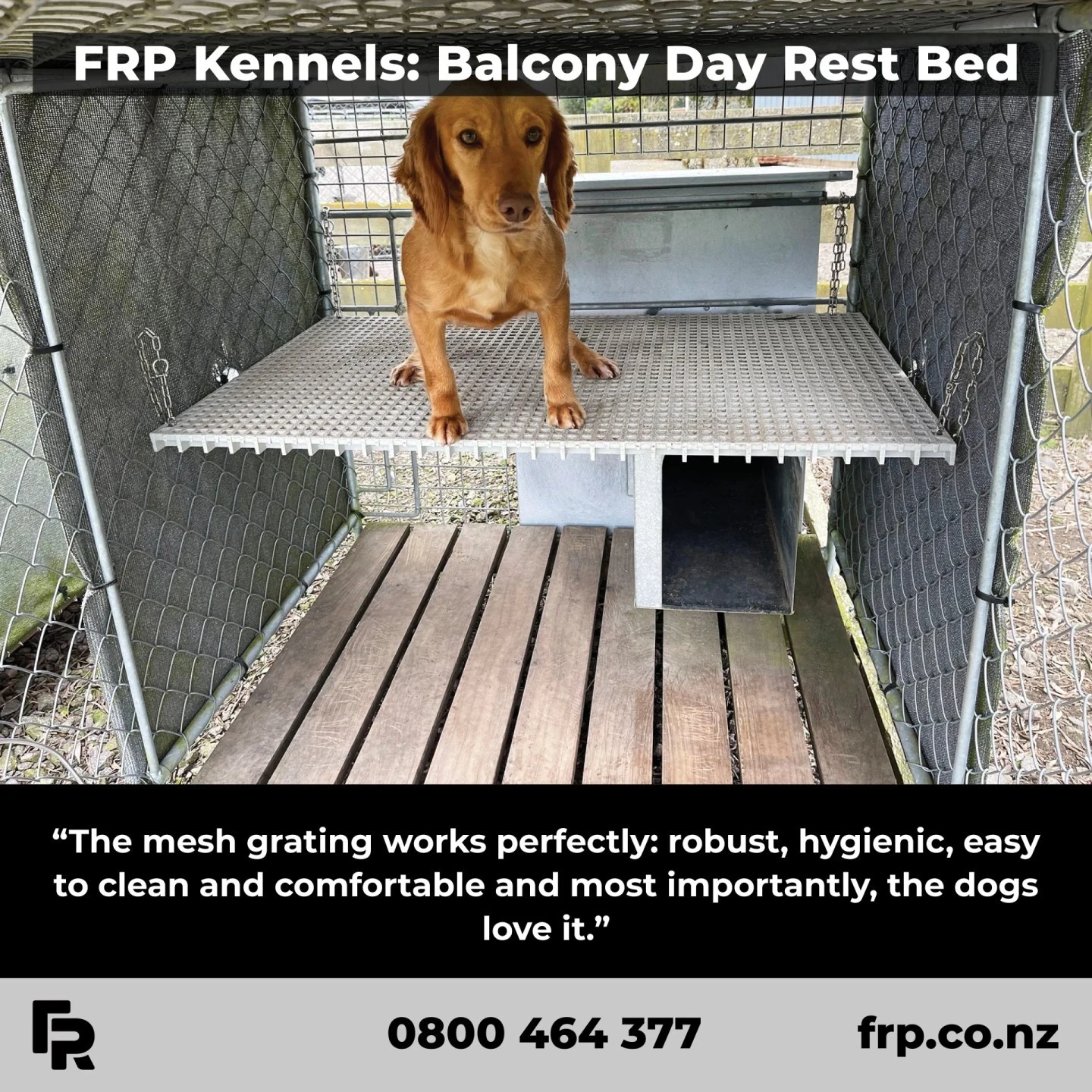 Our FRP Grating is versatile to suit a wide range of applications – including dog kennels!

#frp #frpproducts #frpgrating #dogkennels #kennel #animals #diyprojects #dogowners #pets