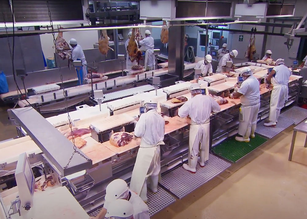 frp grating platform meat processing plant