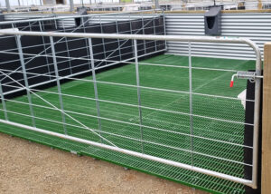 A metal pen with green FRP slat mesh grating floor and a secured gate within an agricultural or livestock facility.