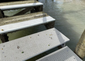 FRP Mini Mesh Grating stairs by water in marine application.