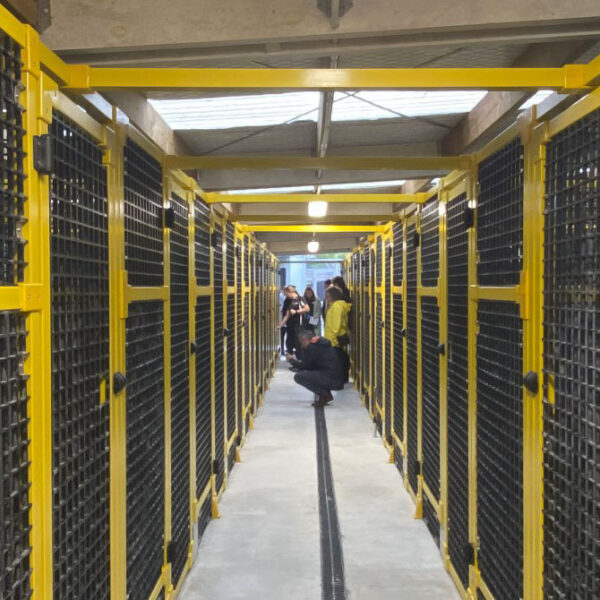 Dog kennels made with black FRP guarding mesh.