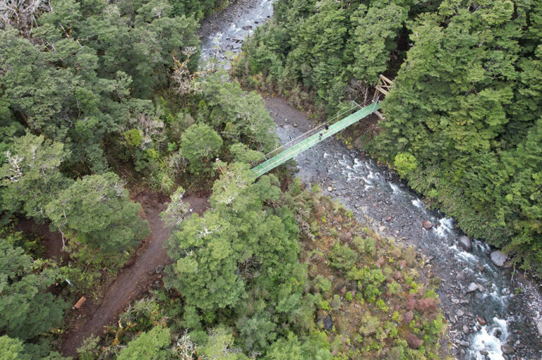FRP grating bridge in bush.