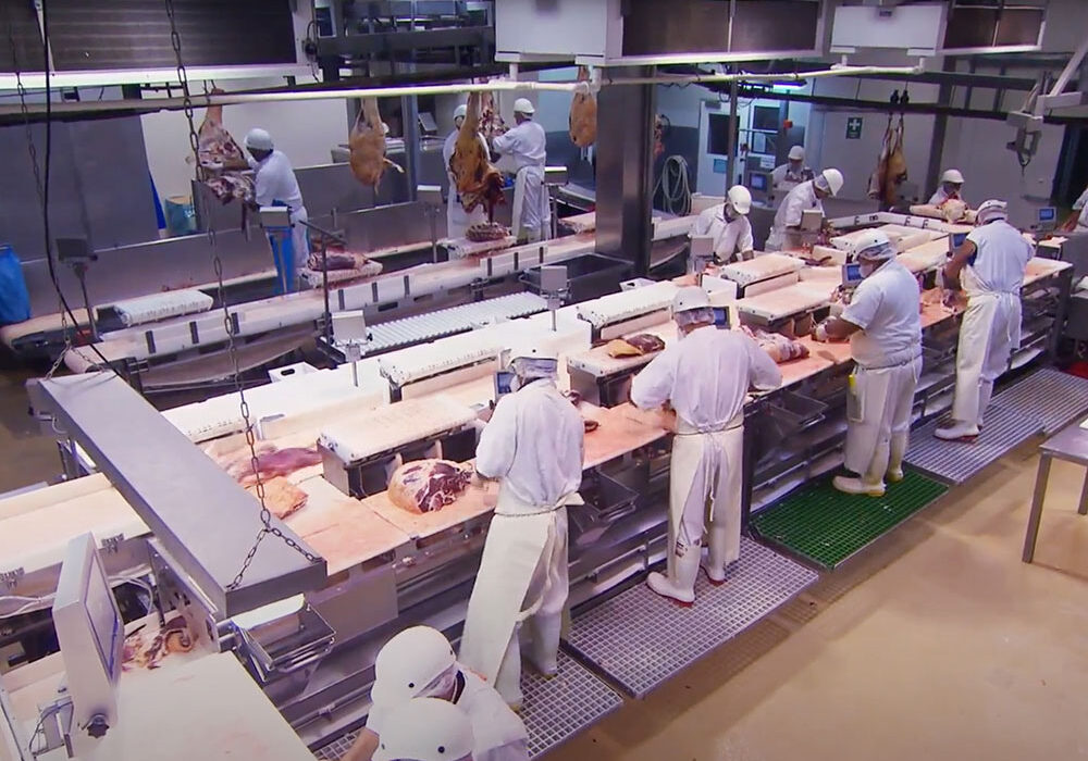 Workers in a meat processing facility standing on FRP grating platforms.