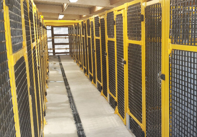 Black FRP guarding mesh dog kennels.